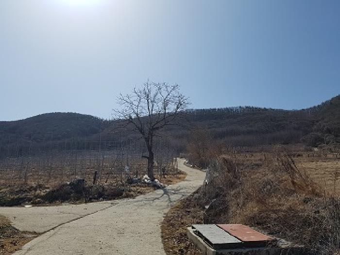 경북 청송군 부남면 임야 경매 물건 사진