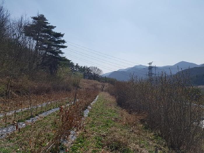 경북 청송군 현동면 전답 경매 물건 사진 2 · 2025타경216