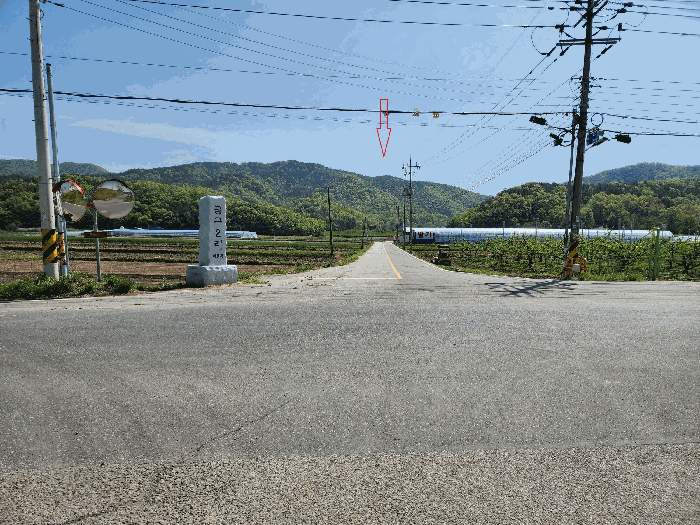 대구 군위군 군위읍 임야 경매 물건 사진 6 · 2025타경223