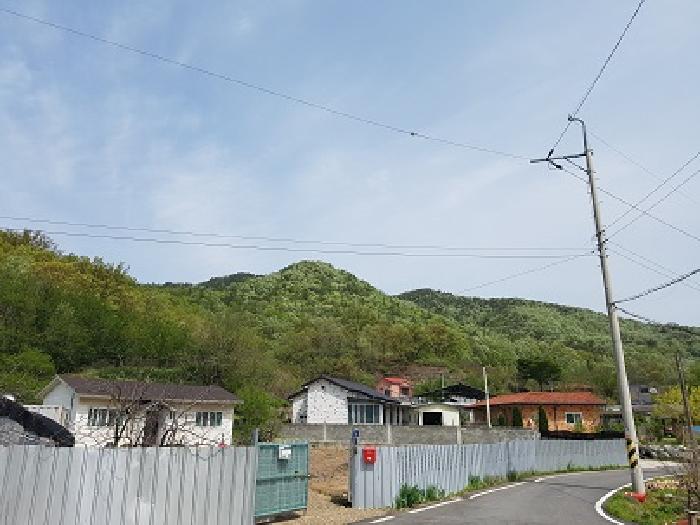 대구 군위군 군위읍 임야 경매 물건 사진
