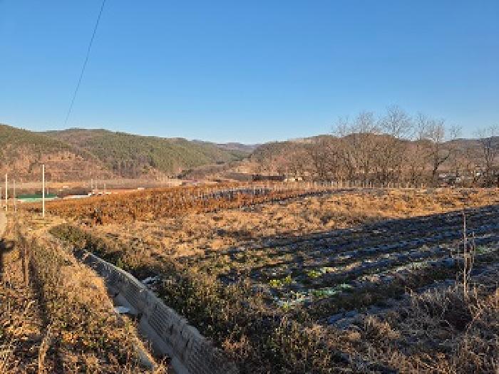 경북 청송군 진보면 전답 경매 물건 사진 4 · 2025타경506