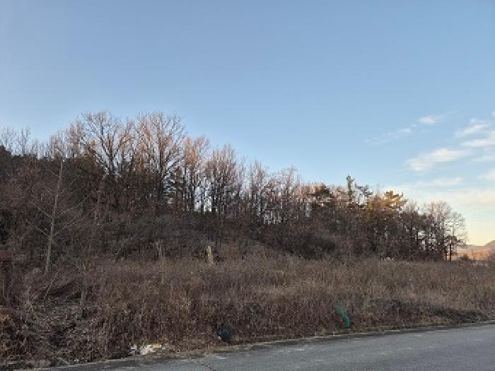 대구 군위군 의흥면 전답 경매 물건 사진 6 · 2025타경537