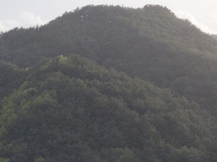 경북 울진군 북면 전 경매 물건 사진 2 · 2024타경10530