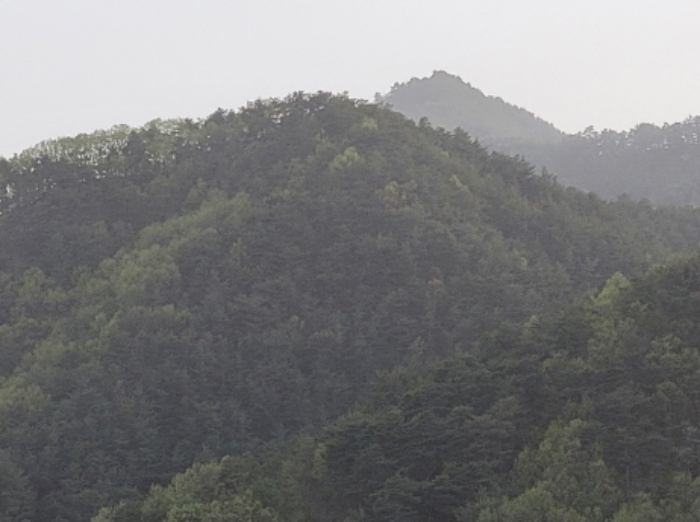 경북 울진군 북면 전 경매 물건 사진 3 · 2024타경10530
