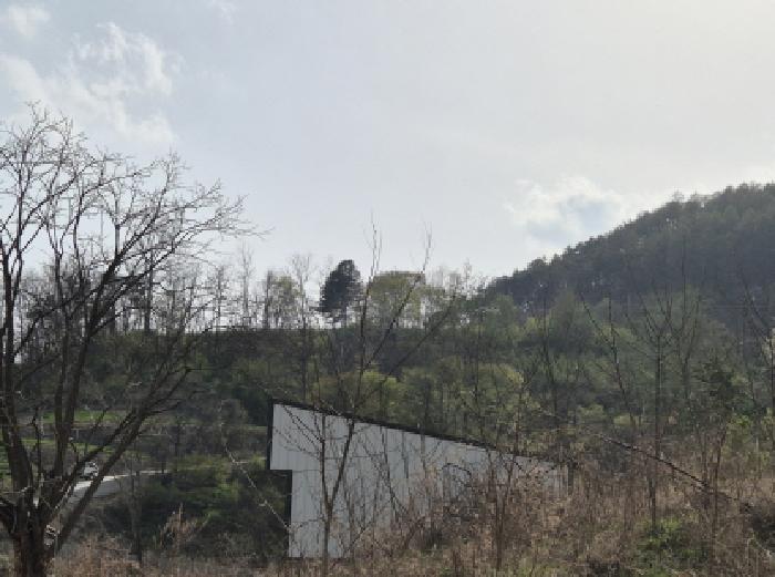 경북 영양군 영양읍 창고시설 경매 물건 사진