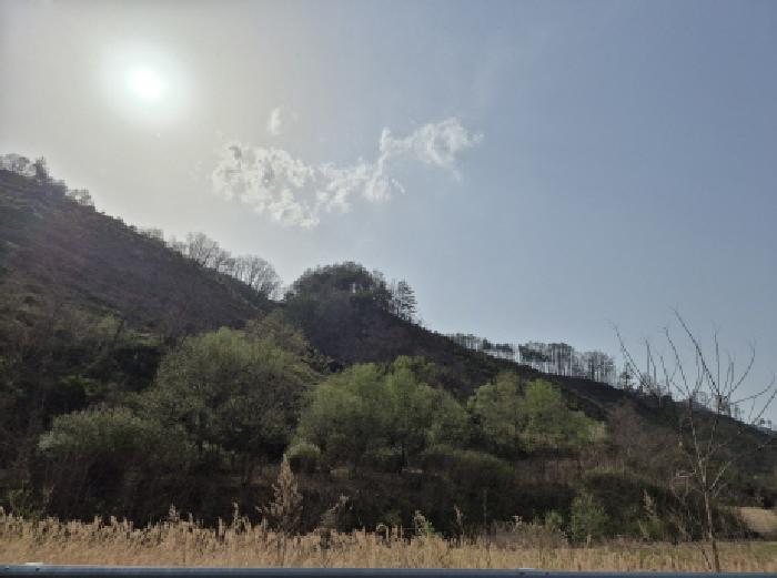 경북 영양군 영양읍 창고시설 경매 물건 사진 4 · 2025타경10198