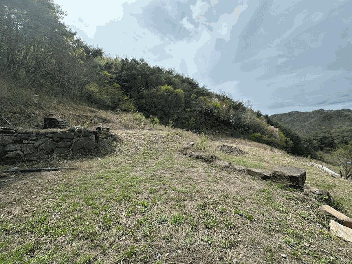 경북 영양군 청기면 전 경매 물건 사진 5 · 2025타경10209