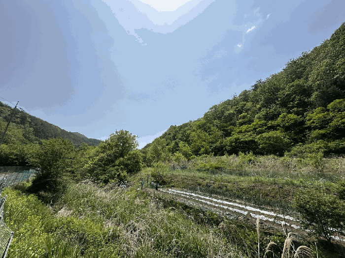 경상북도 영덕군 달산면 흥기리 278-2 전 경매 물건 사진