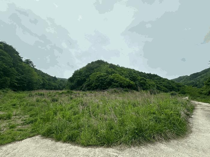 경상북도 영양군 청기면 토곡리 1008 전 경매 물건 사진
