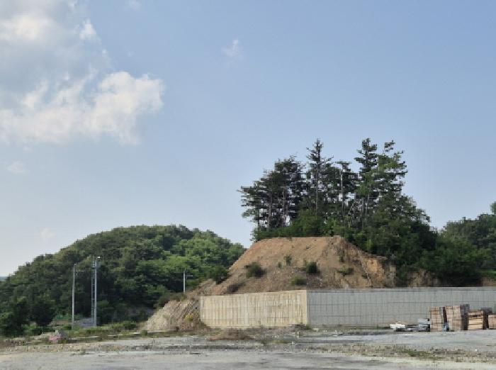 경북 울진군 후포면 전 경매 물건 사진 2 · 2025타경10252