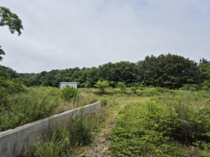 경북 영덕군 강구면 단독주택 경매 물건 사진