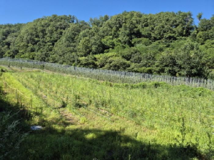 경북 영덕군 축산면 전 경매 물건 사진 5 · 2025타경10280