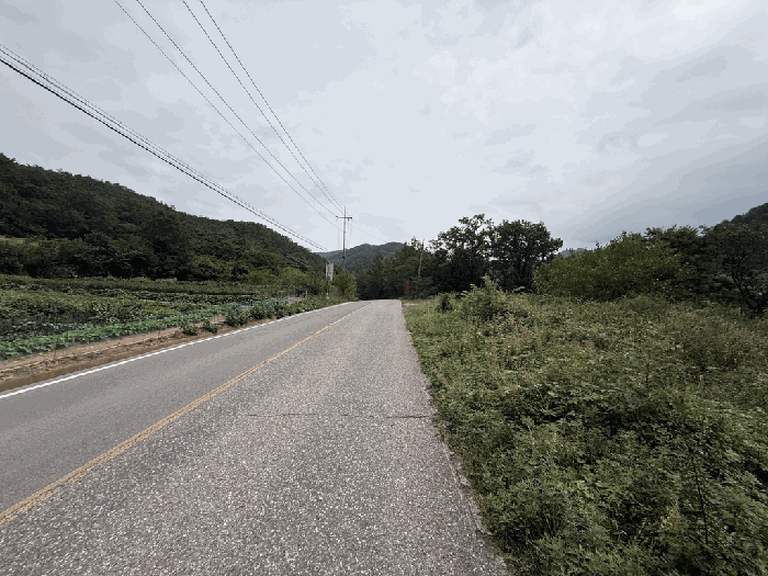 경상북도 영양군 영양읍 대천리 117 전답 경매 물건 사진
