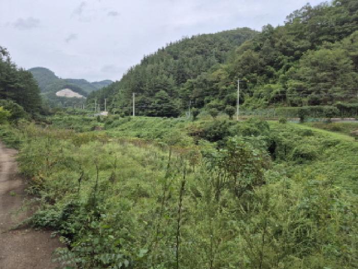 경북 영덕군 남정면 과수원 경매 물건 사진