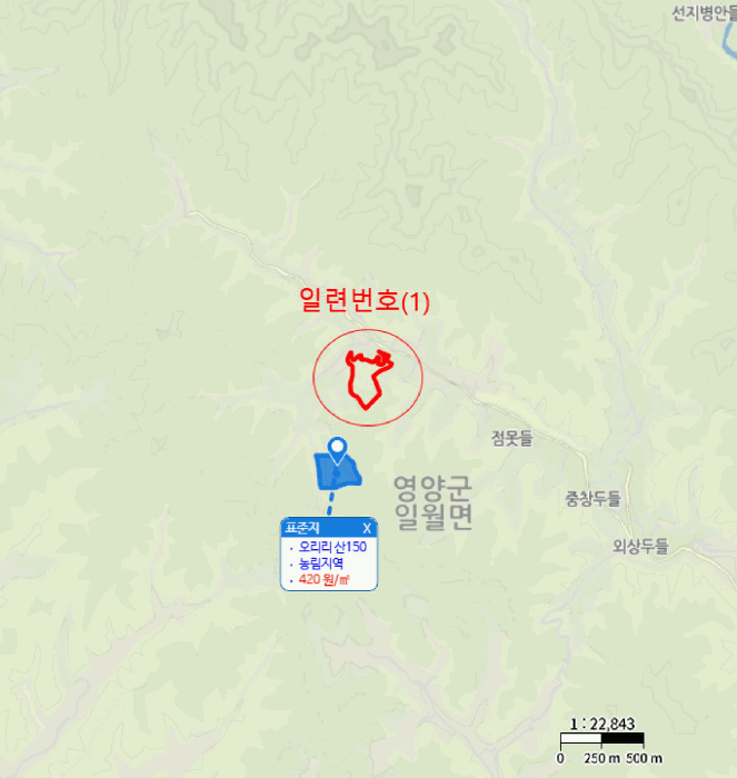 경북 영양군 일월면 임야 경매 물건 사진 3 · 2025타경10331