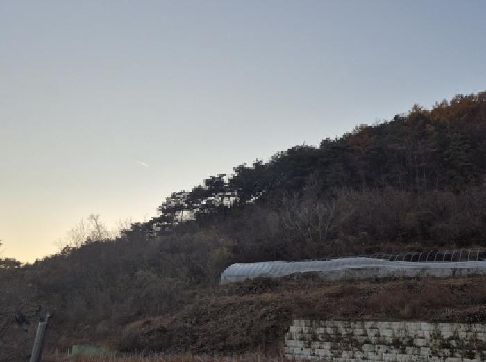 경북 영양군 영양읍 전답 경매 물건 사진