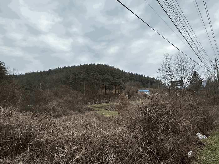 경북 영양군 입암면 임야 경매 물건 사진 3 · 2025타경10370