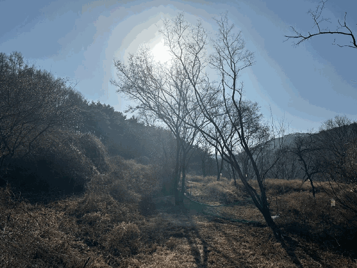 경북 영양군 입암면 임야 경매 물건 사진 6 · 2025타경10380