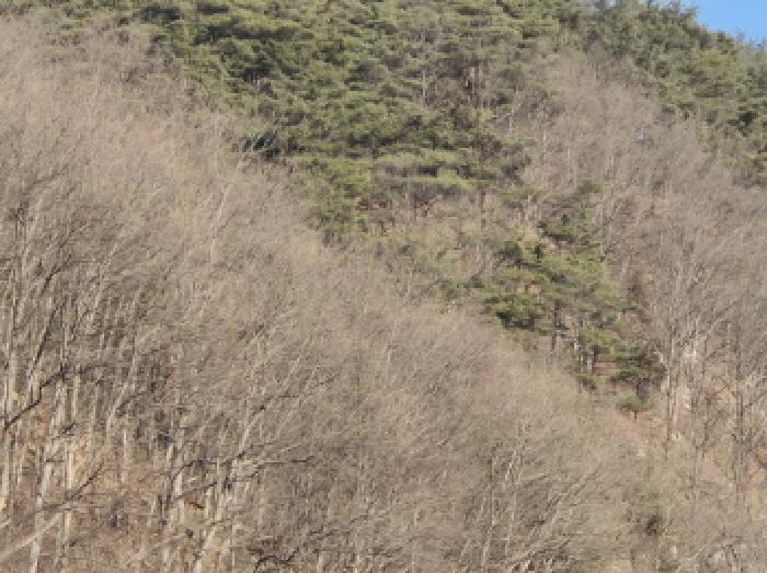 경북 영양군 입암면 임야 경매 물건 사진 2 · 2025타경10380