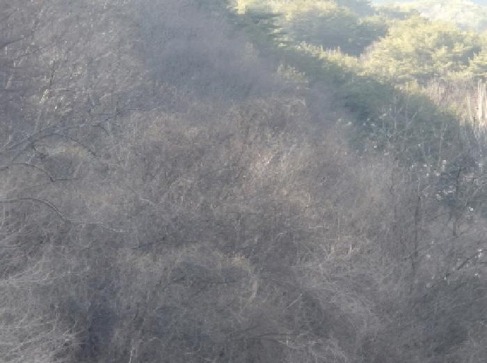 경북 영양군 입암면 임야 경매 물건 사진 3 · 2025타경10380