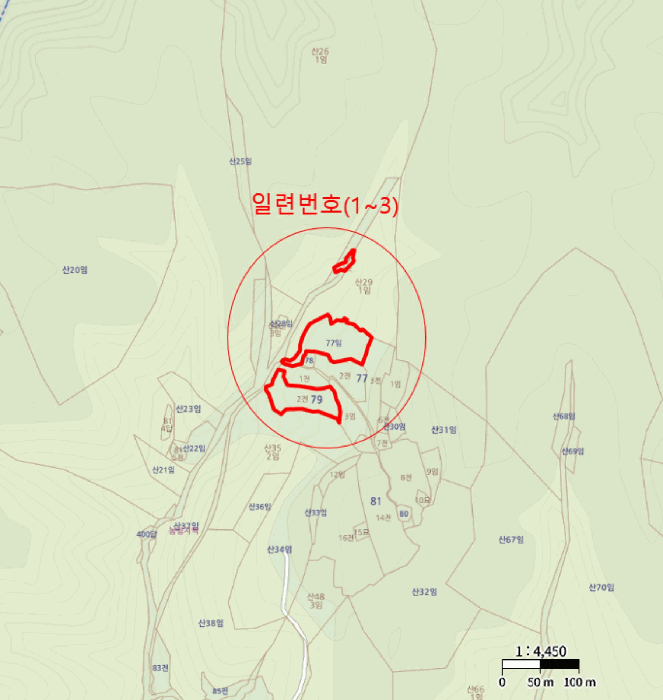 경북 영양군 입암면 임야 경매 물건 사진 4 · 2025타경10380