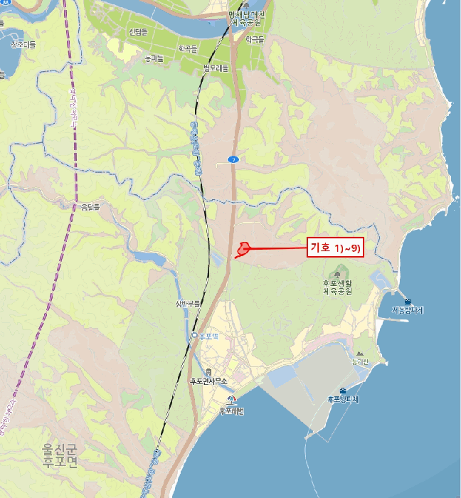 경북 울진군 후포면 임야 경매 물건 사진 5 · 2025타경134