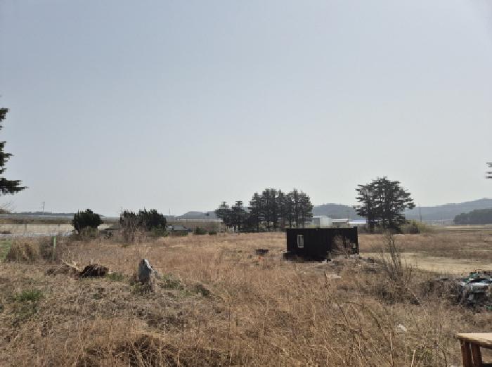 경북 울진군 근남면 대지 경매 물건 사진 2 · 2025타경301
