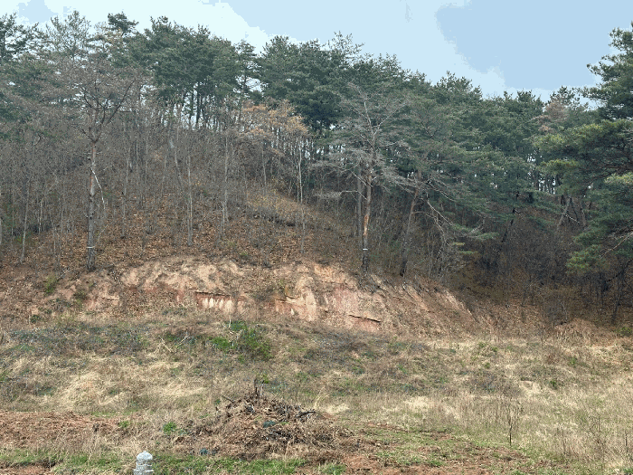 경북 영덕군 축산면 전 경매 물건 사진 5 · 2025타경424