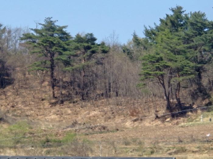 경북 영덕군 축산면 전 경매 물건 사진