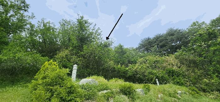 경북 울진군 온정면 전 경매 물건 사진 4 · 2025타경462