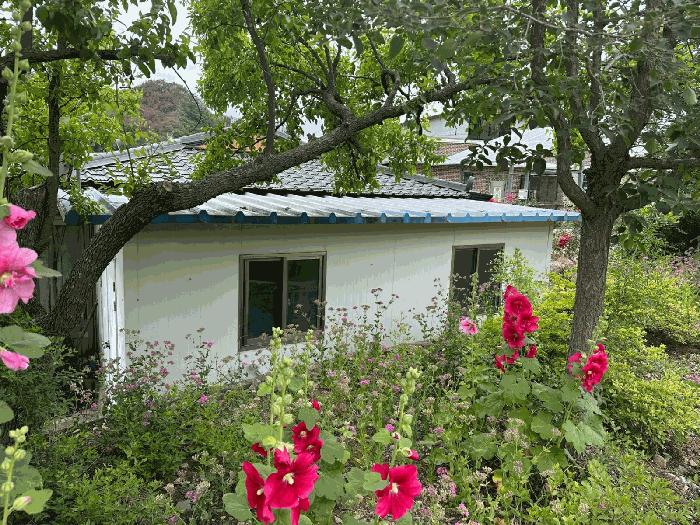 경북 영양군 석보면 전 경매 물건 사진 5 · 2025타경547