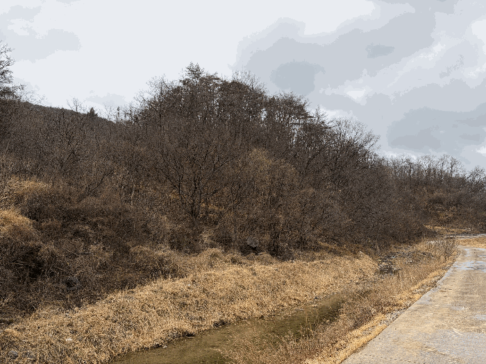 경상북도 영덕군 병곡면 이천리 146 전답 경매 물건 사진