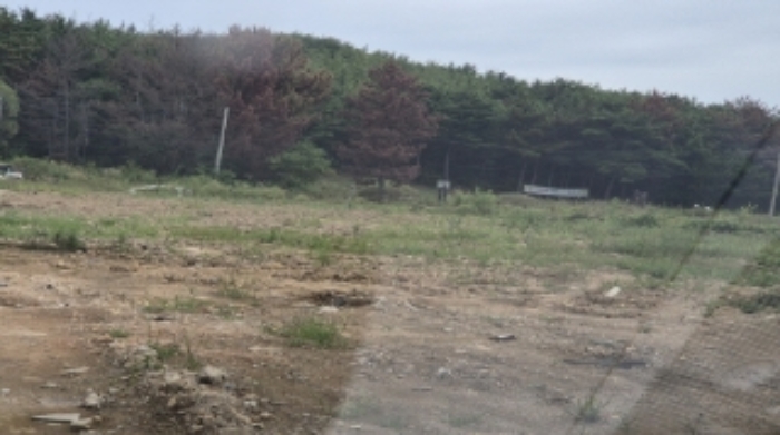 경북 포항시 북구 흥해읍 주거 98 경매 물건 사진 3 · 2024타경2983
