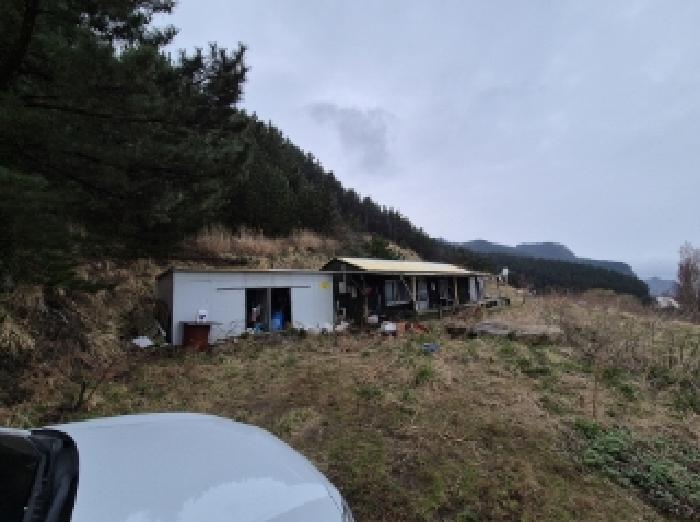 경북 울릉군 북면 전 경매 물건 사진