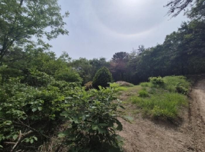경북 포항시 남구 연일읍 임야 경매 물건 사진 3 · 2025타경348