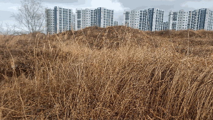 경북 포항시 남구 동해면 답 경매 물건 사진 4 · 2025타경3606