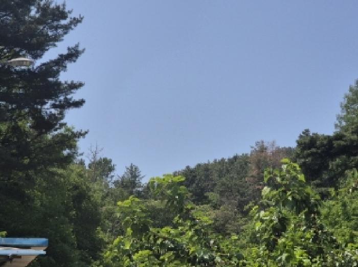 경북 포항시 북구 용흥동 임야 경매 물건 사진