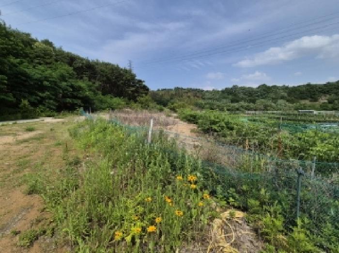경북 포항시 남구 연일읍 임야 경매 물건 사진