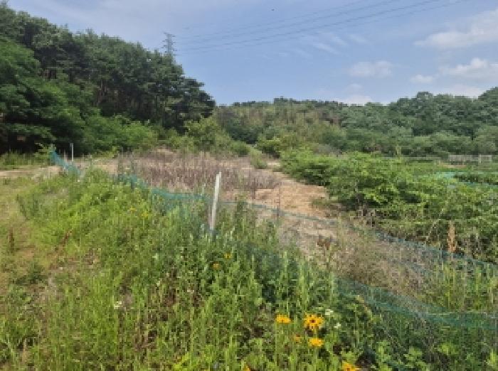 경북 포항시 남구 연일읍 임야 경매 물건 사진 2 · 2025타경379