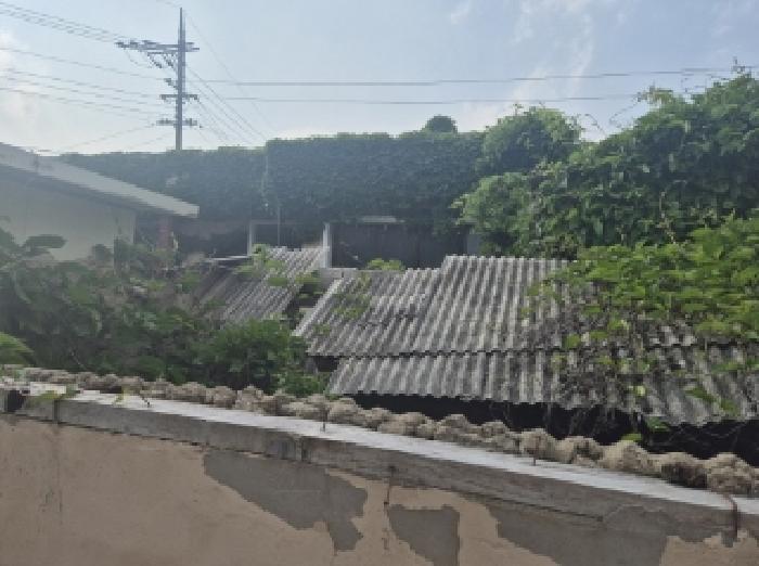 경북 포항시 남구 동해면 단독주택 경매 물건 사진 3 · 2025타경3798