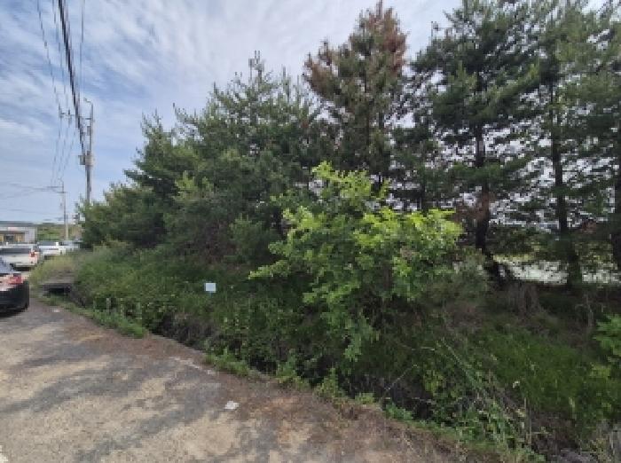 경북 포항시 남구 오천읍 답 경매 물건 사진 3 · 2025타경3820