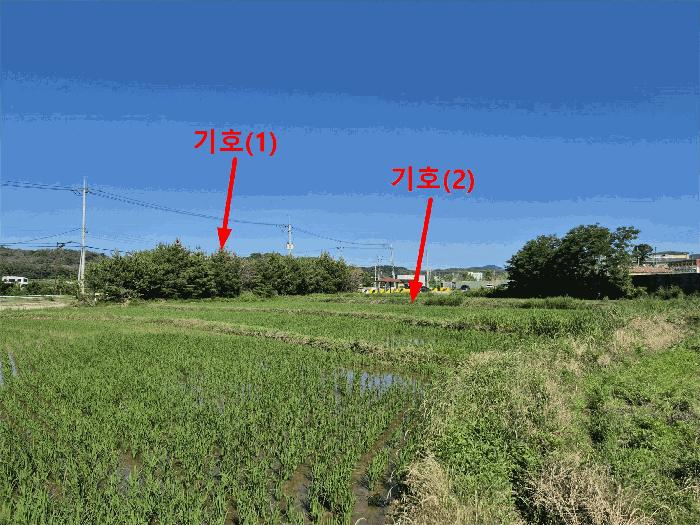 경북 포항시 남구 오천읍 답 경매 물건 사진 6 · 2025타경3820