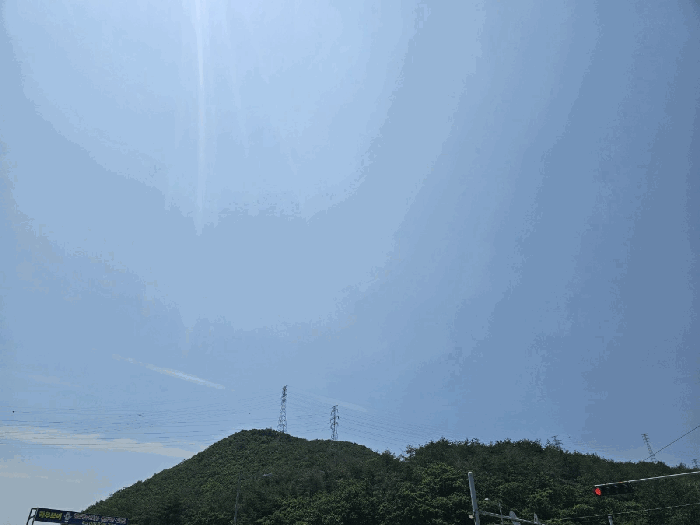 경북 포항시 남구 장기면 임야 경매 물건 사진 5 · 2025타경3833