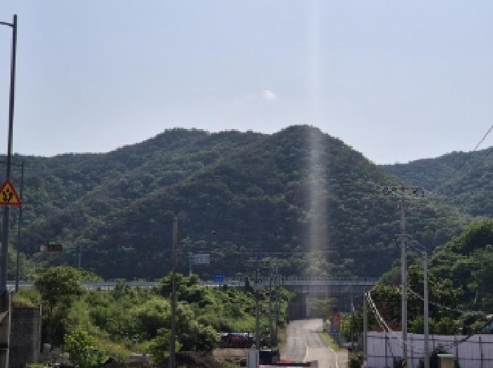 경북 포항시 남구 장기면 임야 경매 물건 사진