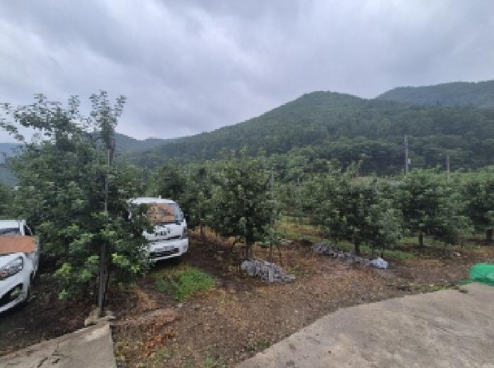 경북 포항시 북구 죽장면 전 경매 물건 사진