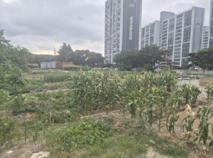 경북 포항시 남구 오천읍 전 경매 물건 사진 4 · 2025타경3896