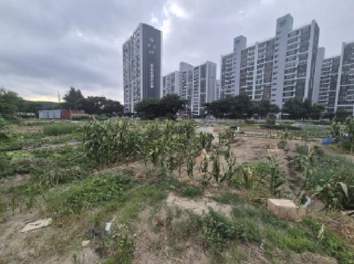 경북 포항시 남구 오천읍 전 경매 물건 사진 5 · 2025타경3896