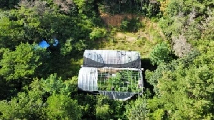 경북 포항시 북구 신광면 도로 경매 물건 사진