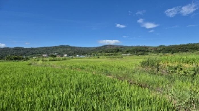 경북 포항시 북구 기계면 답 경매 물건 사진 4 · 2025타경3943