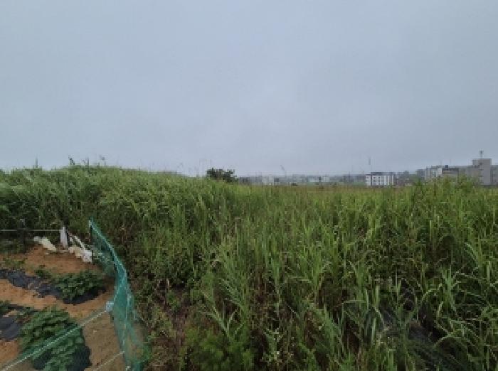 경북 포항시 남구 동해면 임야 경매 물건 사진 4 · 2025타경395